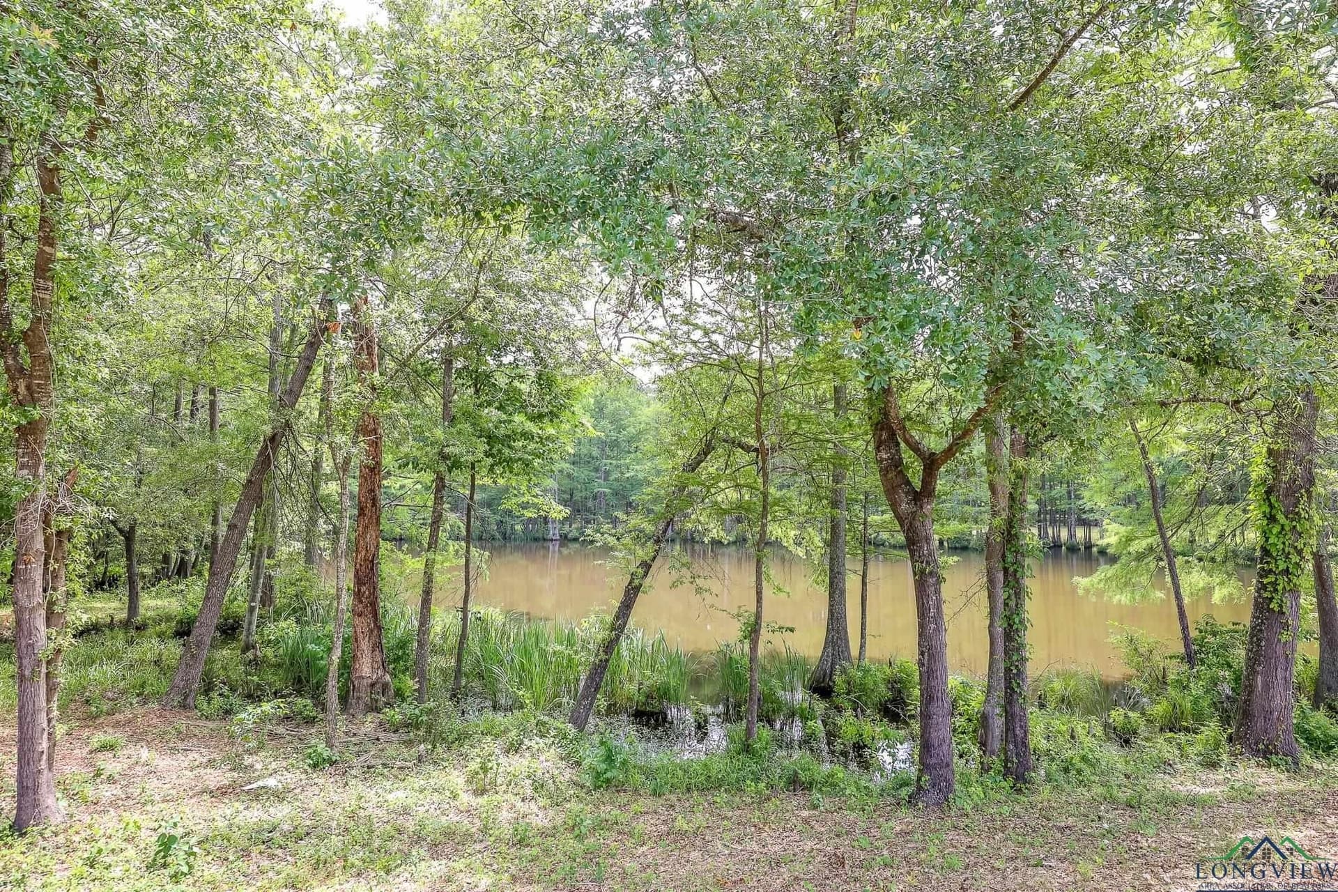 26 acres in Marion County - photo 3