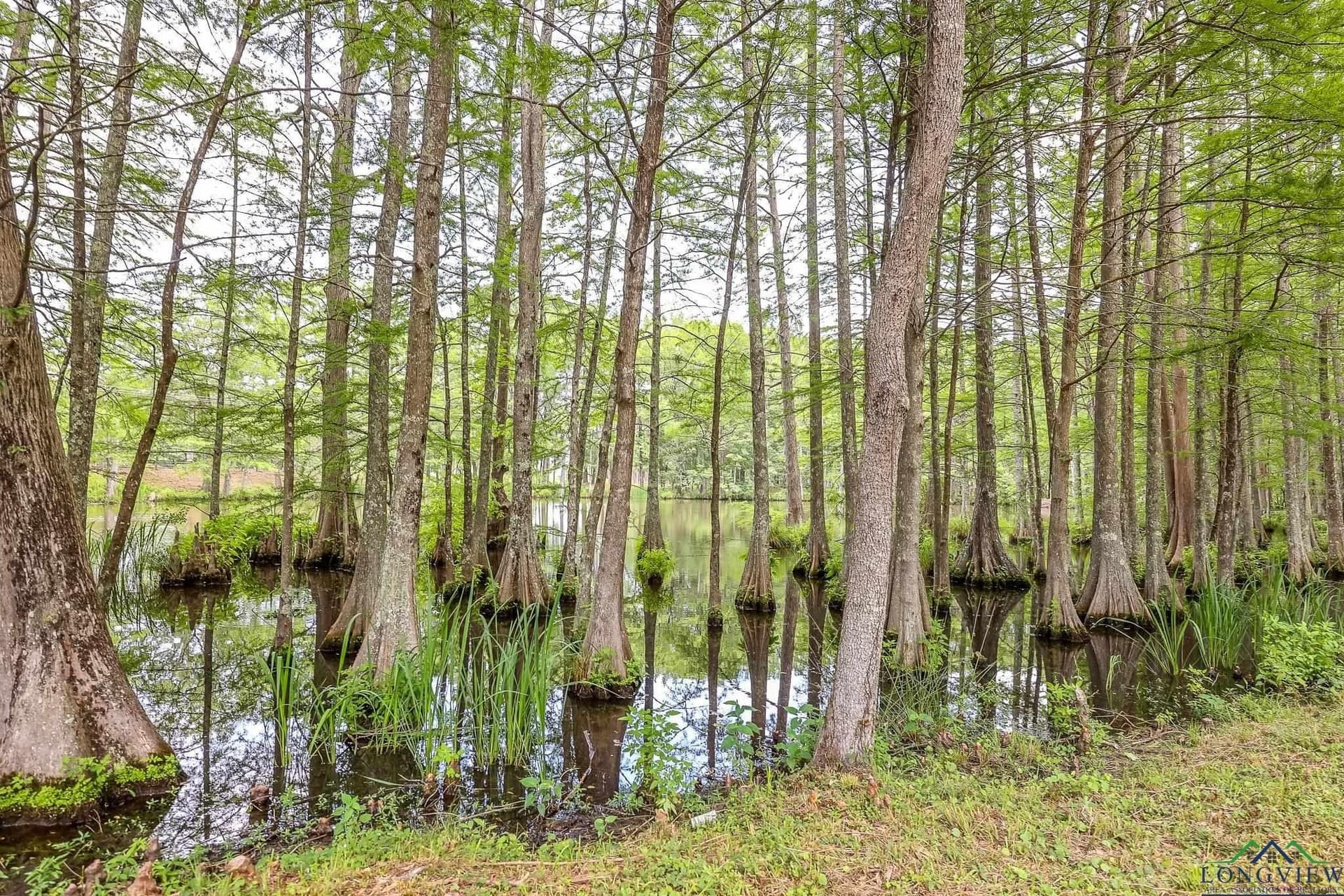 26 acres in Marion County - photo 11