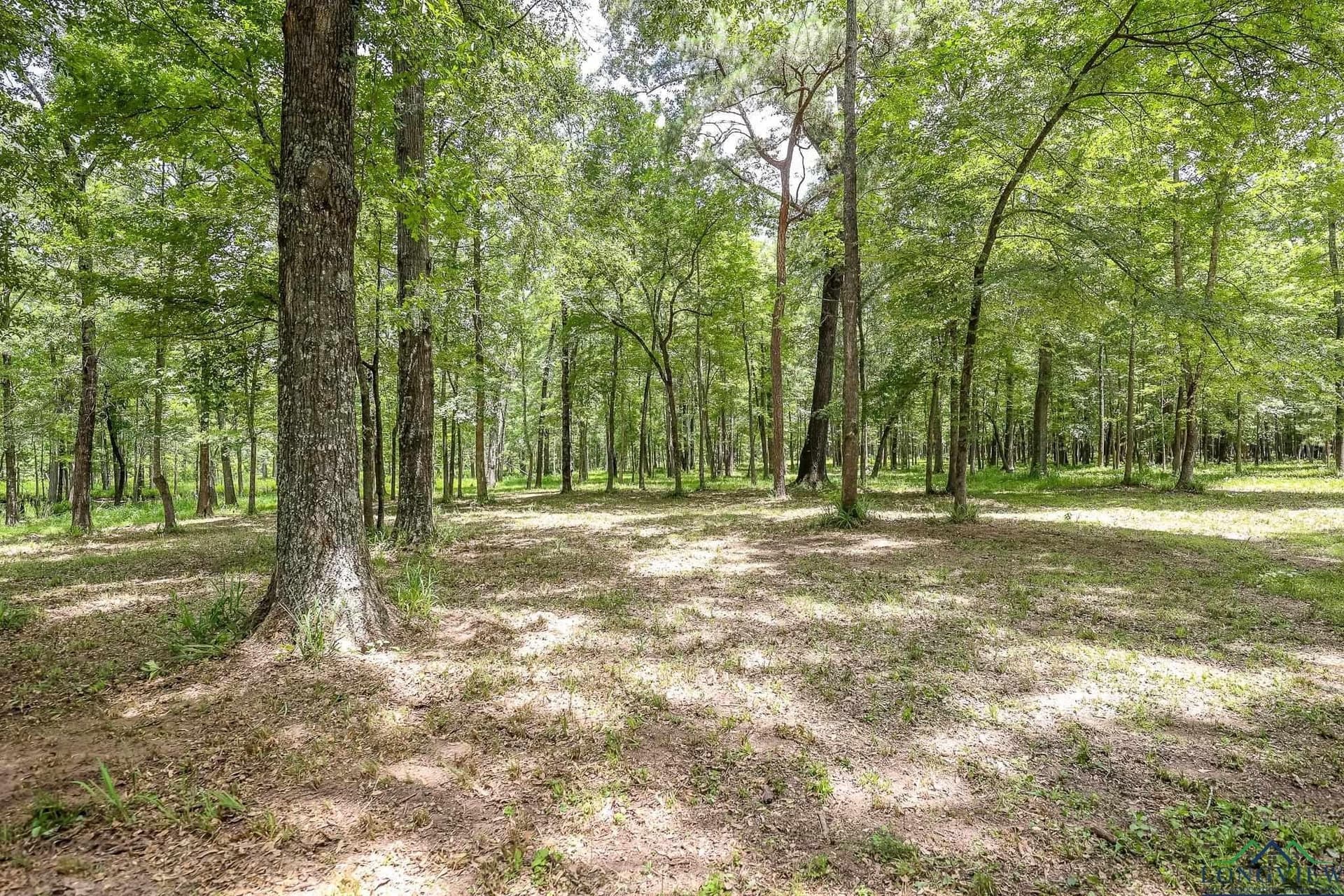 26 acres in Marion County - photo 13