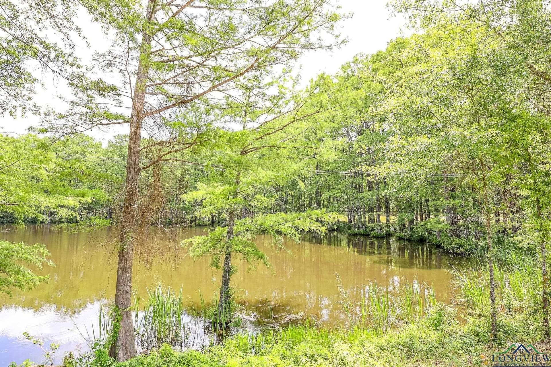 26 acres in Marion County - photo 5