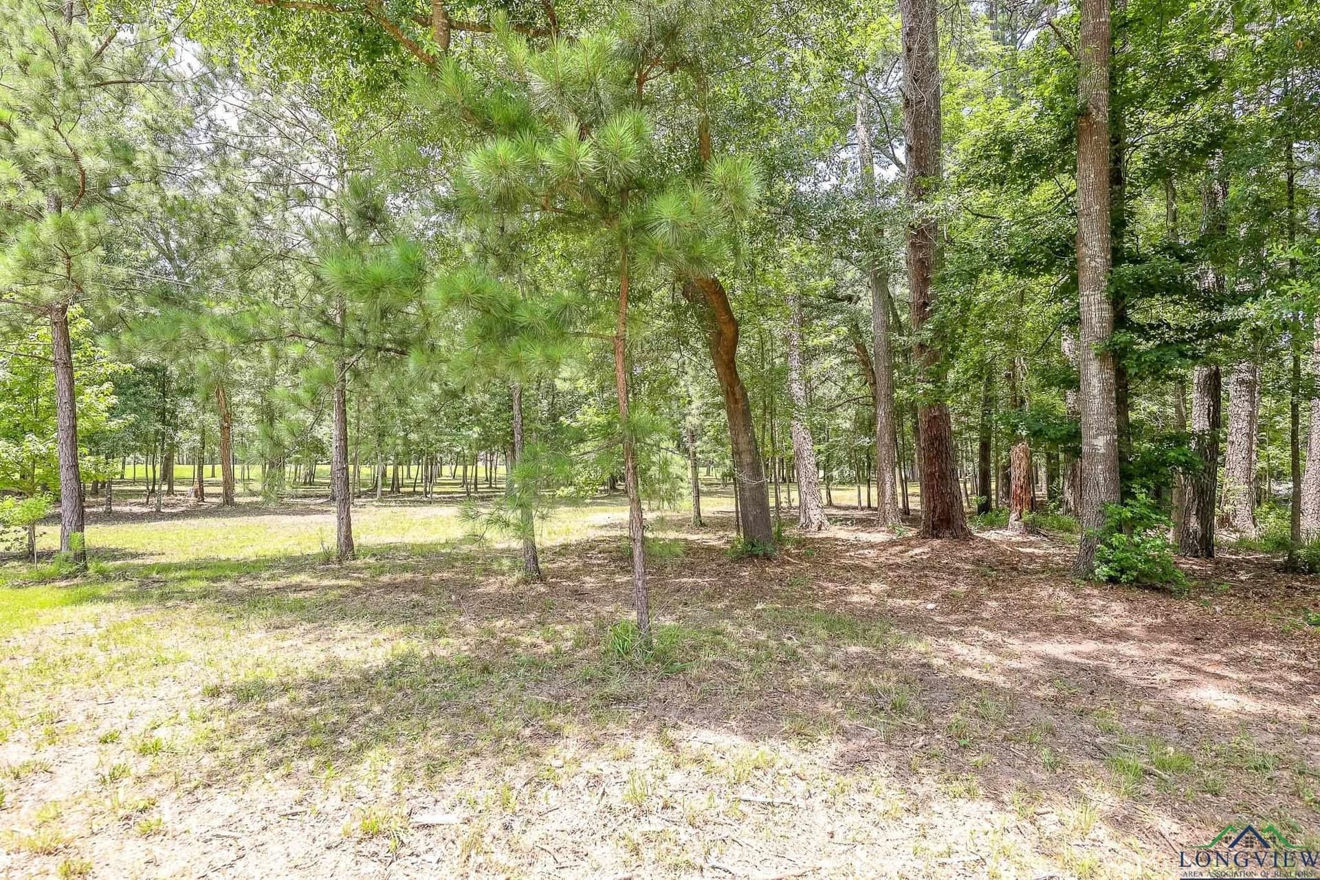 26 acres in Marion County - photo 21