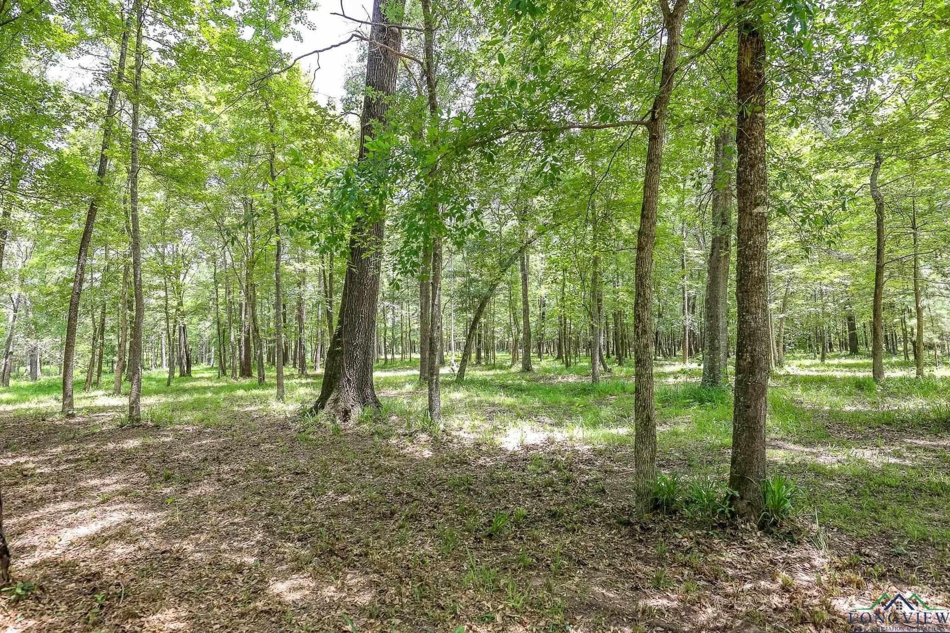 26 acres in Marion County - photo 14