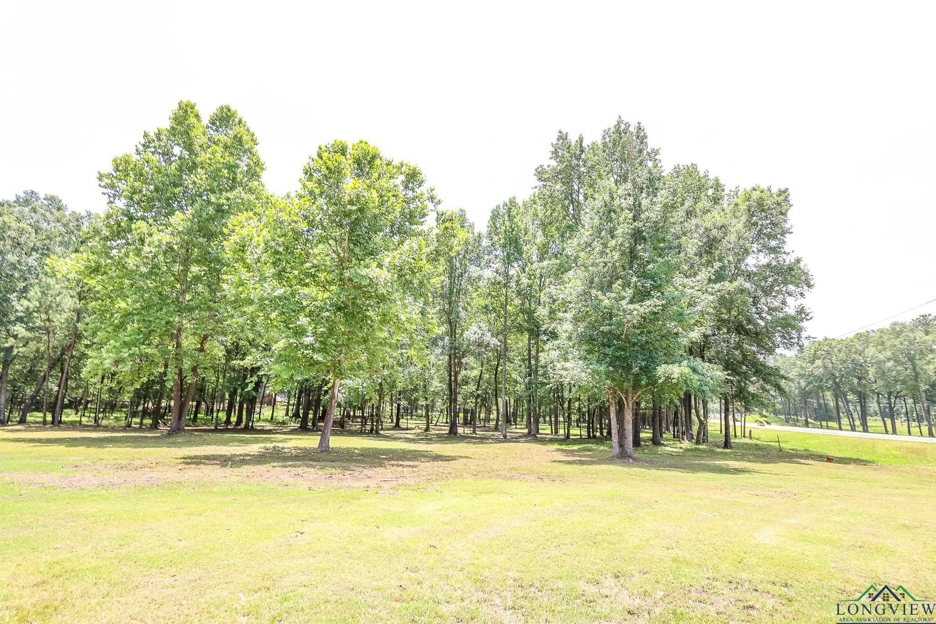 26 acres in Marion County - photo 18