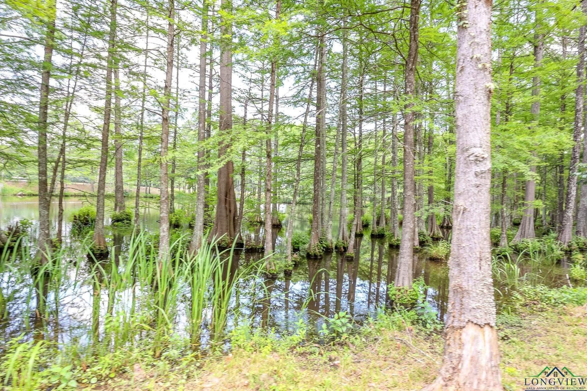 26 acres in Marion County - photo 12