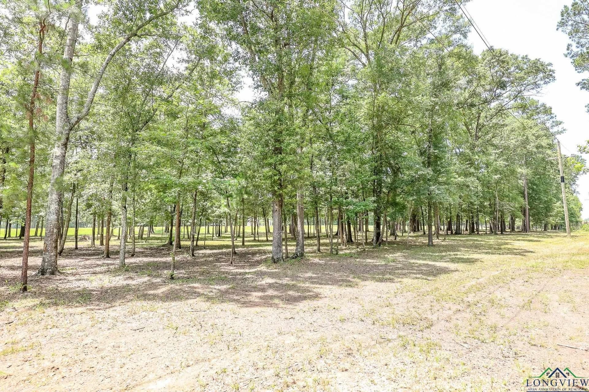 26 acres in Marion County - photo 23
