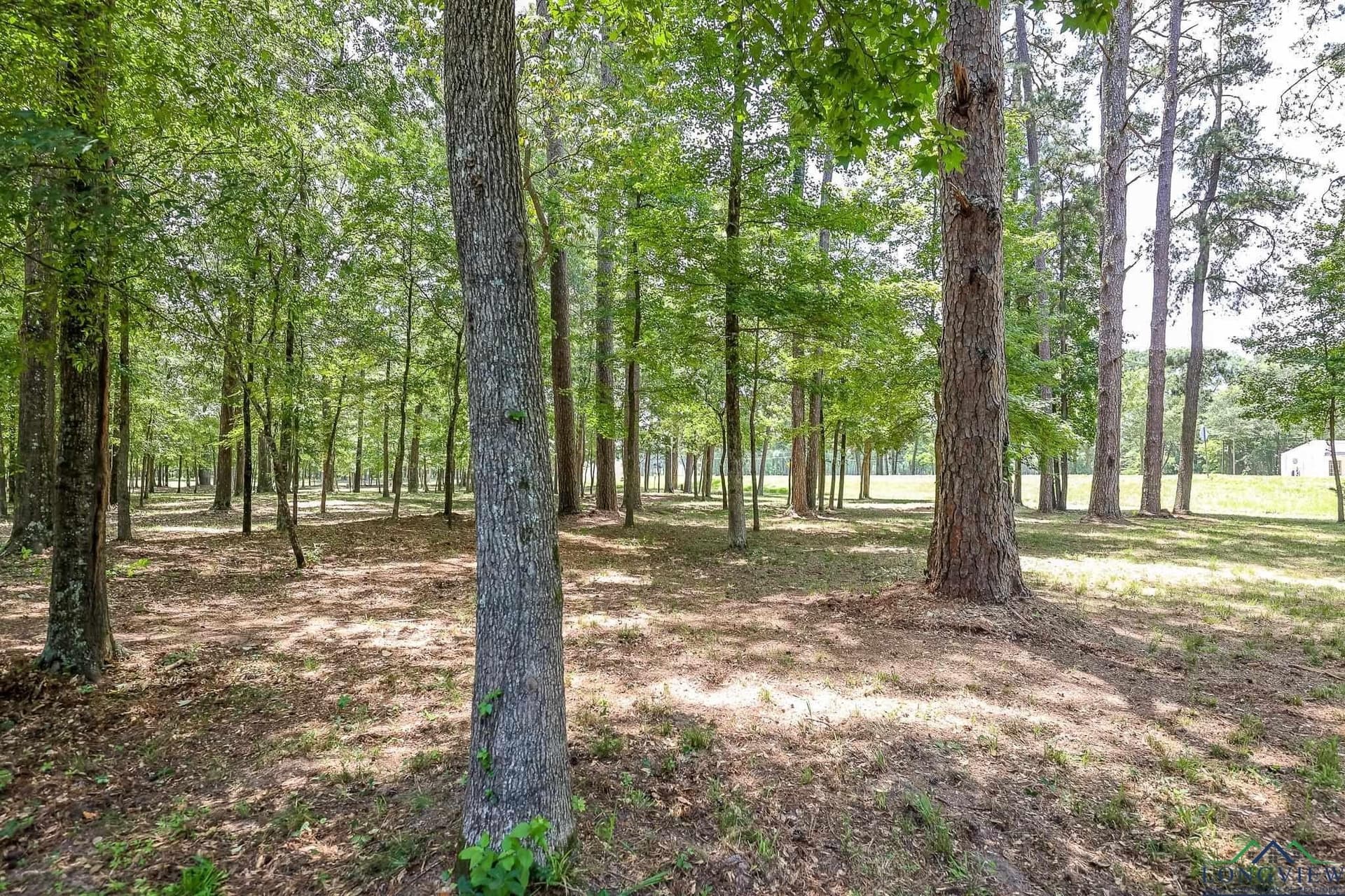26 acres in Marion County - photo 26