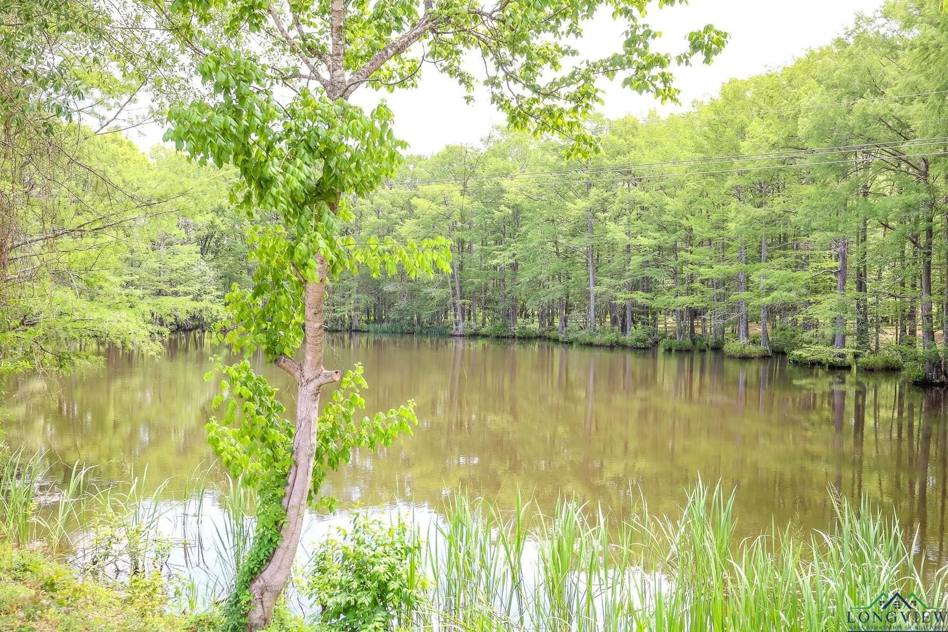 26 acres in Marion County - photo 7