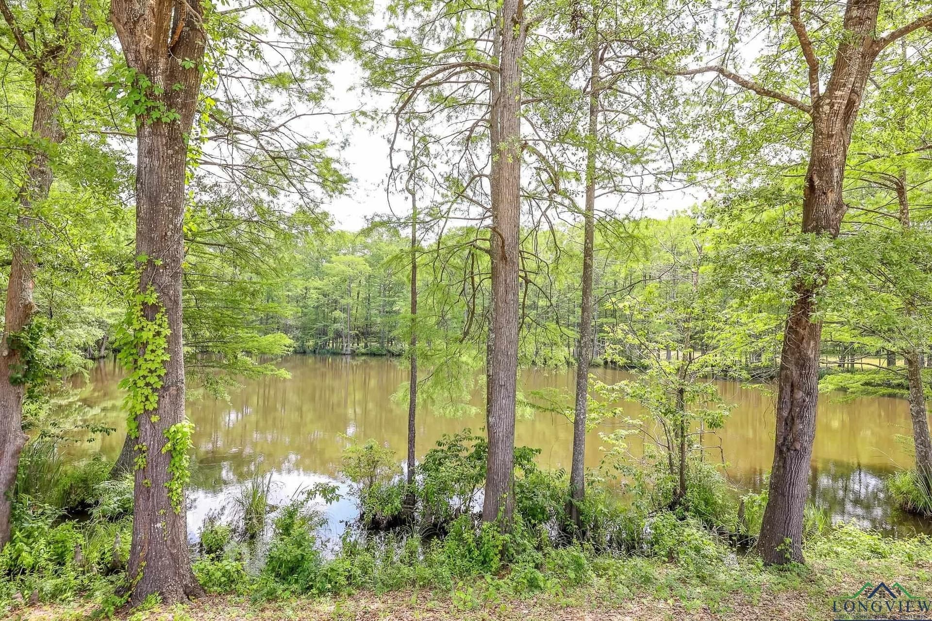 26 acres in Marion County - photo 4