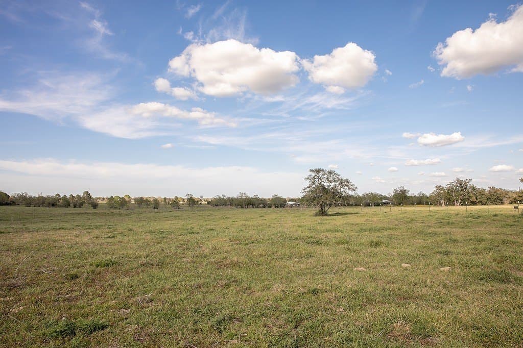 56.21 acres in Austin County - photo 3