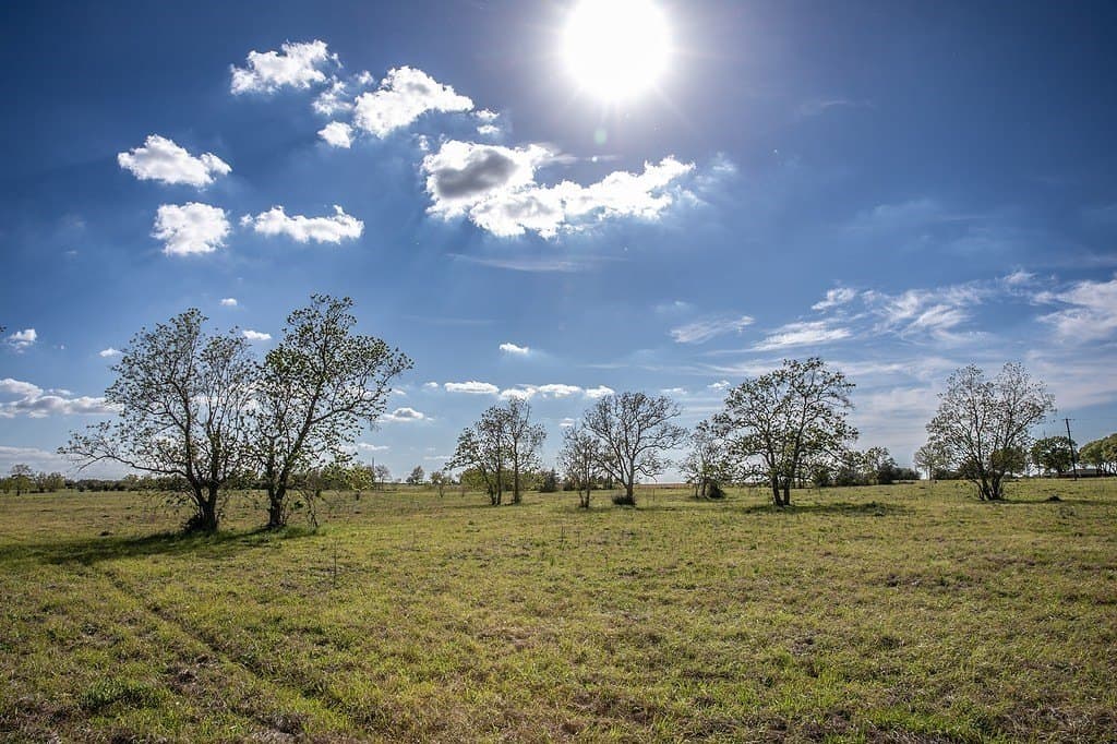 56.21 acres in Austin County - photo 2