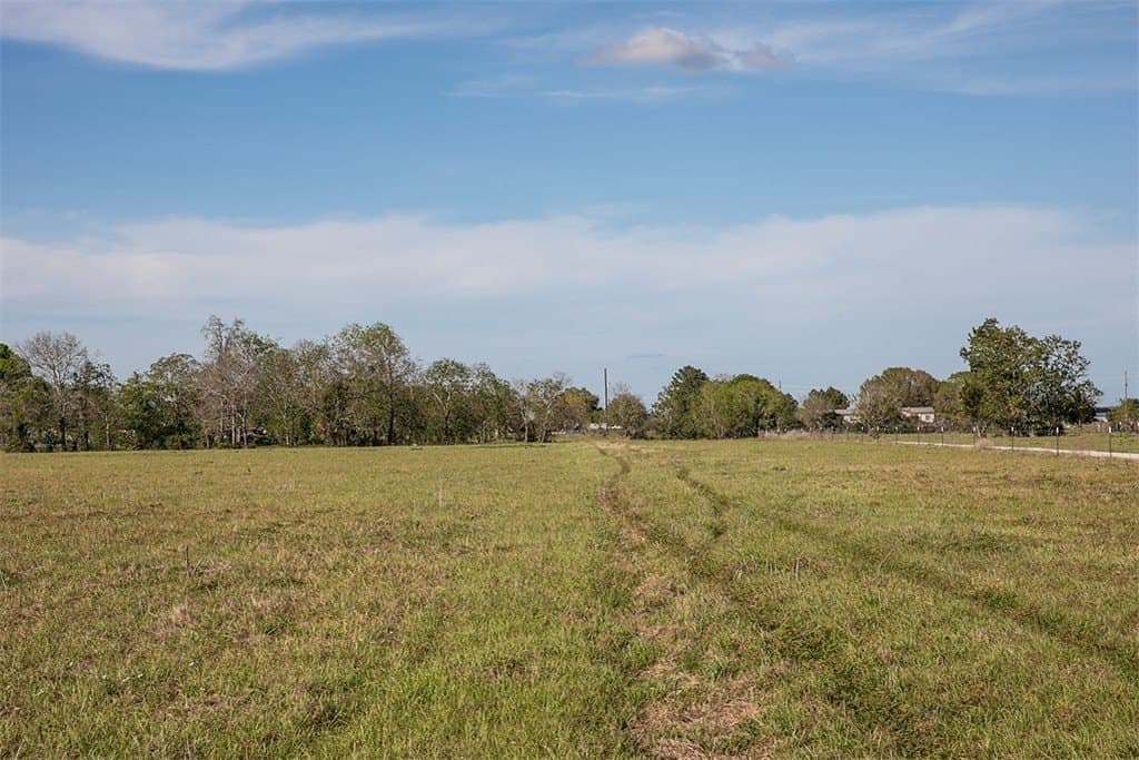 56.21 acres in Austin County - photo 4