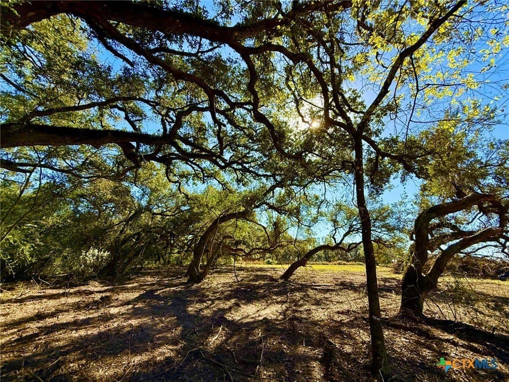 6.23 acres in Victoria County - photo 5