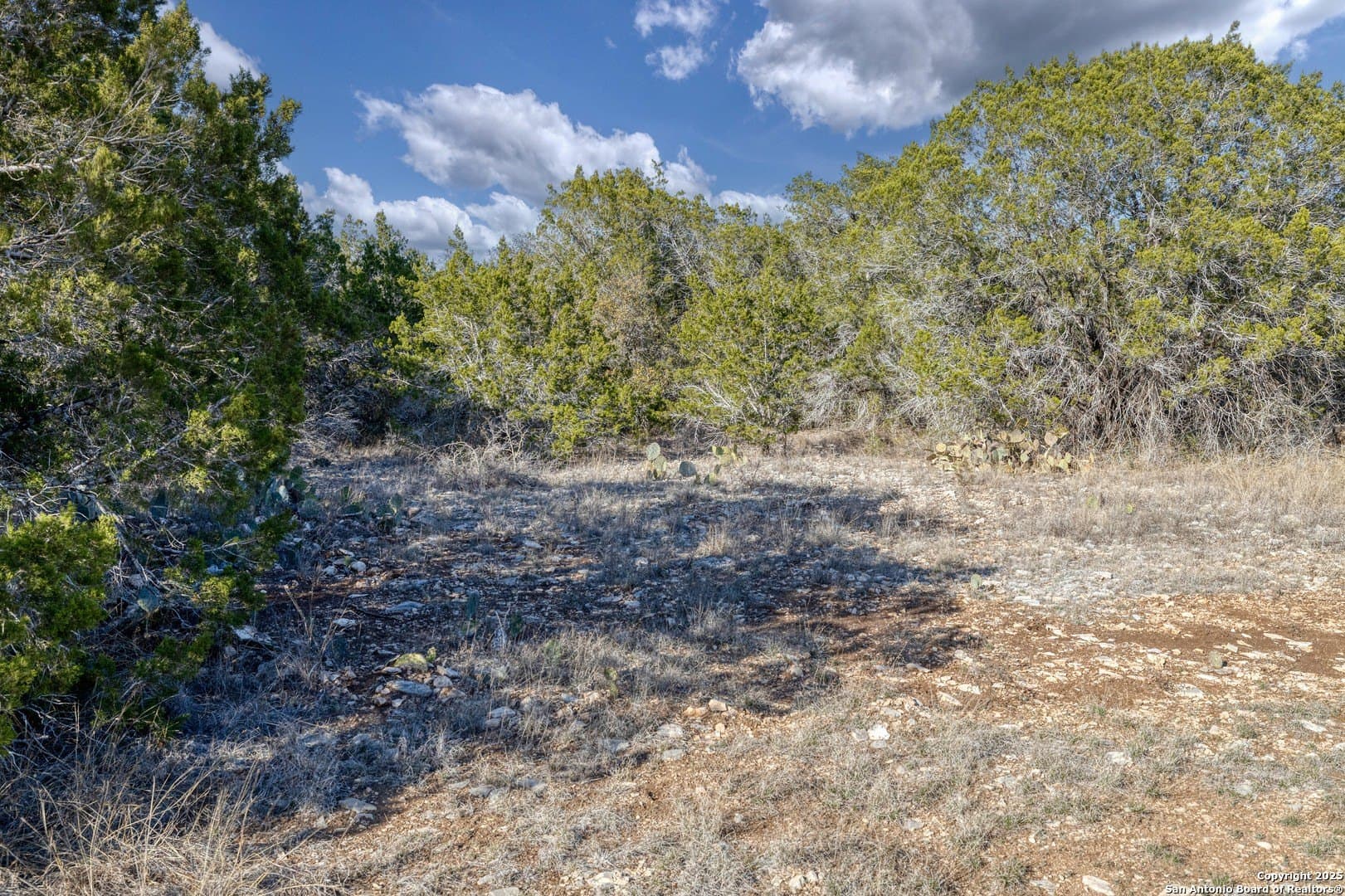 20.01 acres in Uvalde County - photo 7
