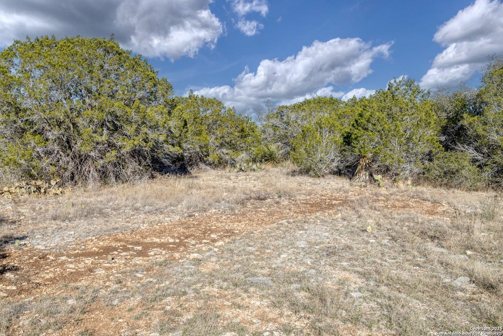 20.01 acres in Uvalde County - photo 6