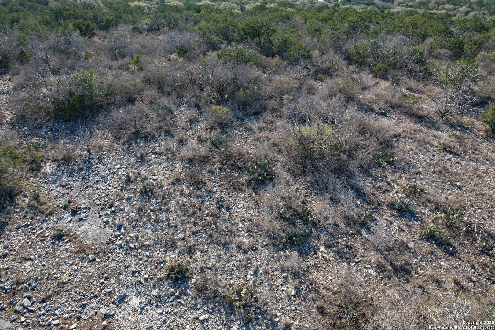 20.01 acres in Uvalde County - photo 13