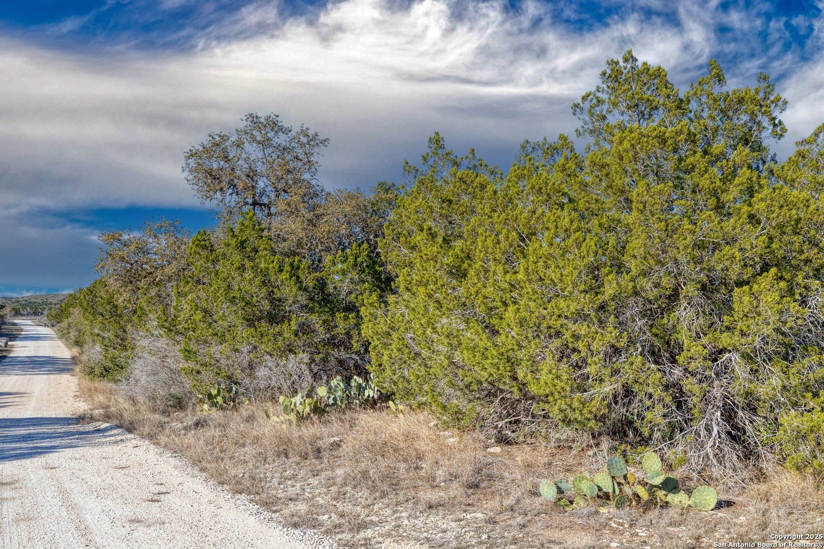 20.01 acres in Uvalde County - photo 5
