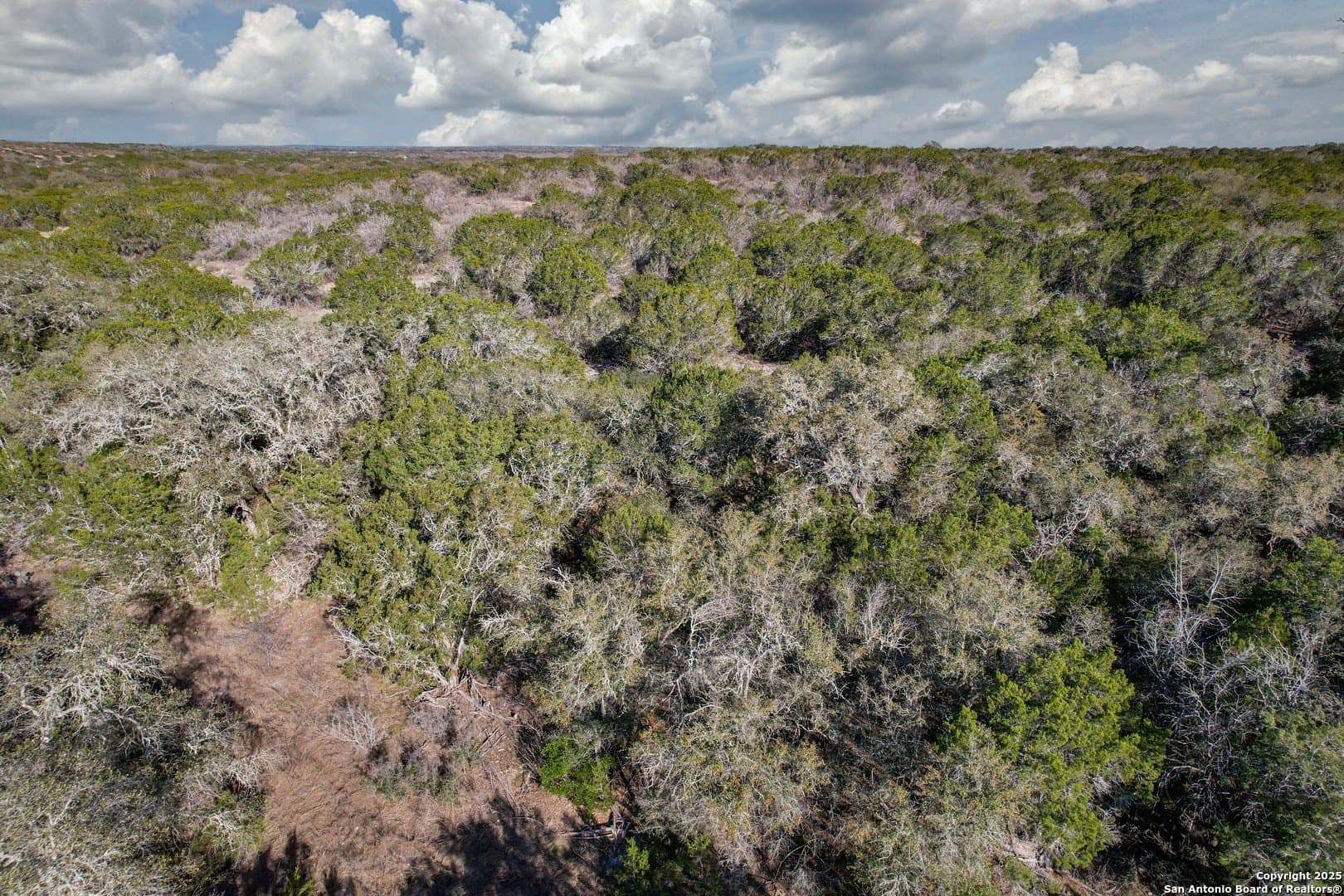 20.01 acres in Uvalde County - photo 20