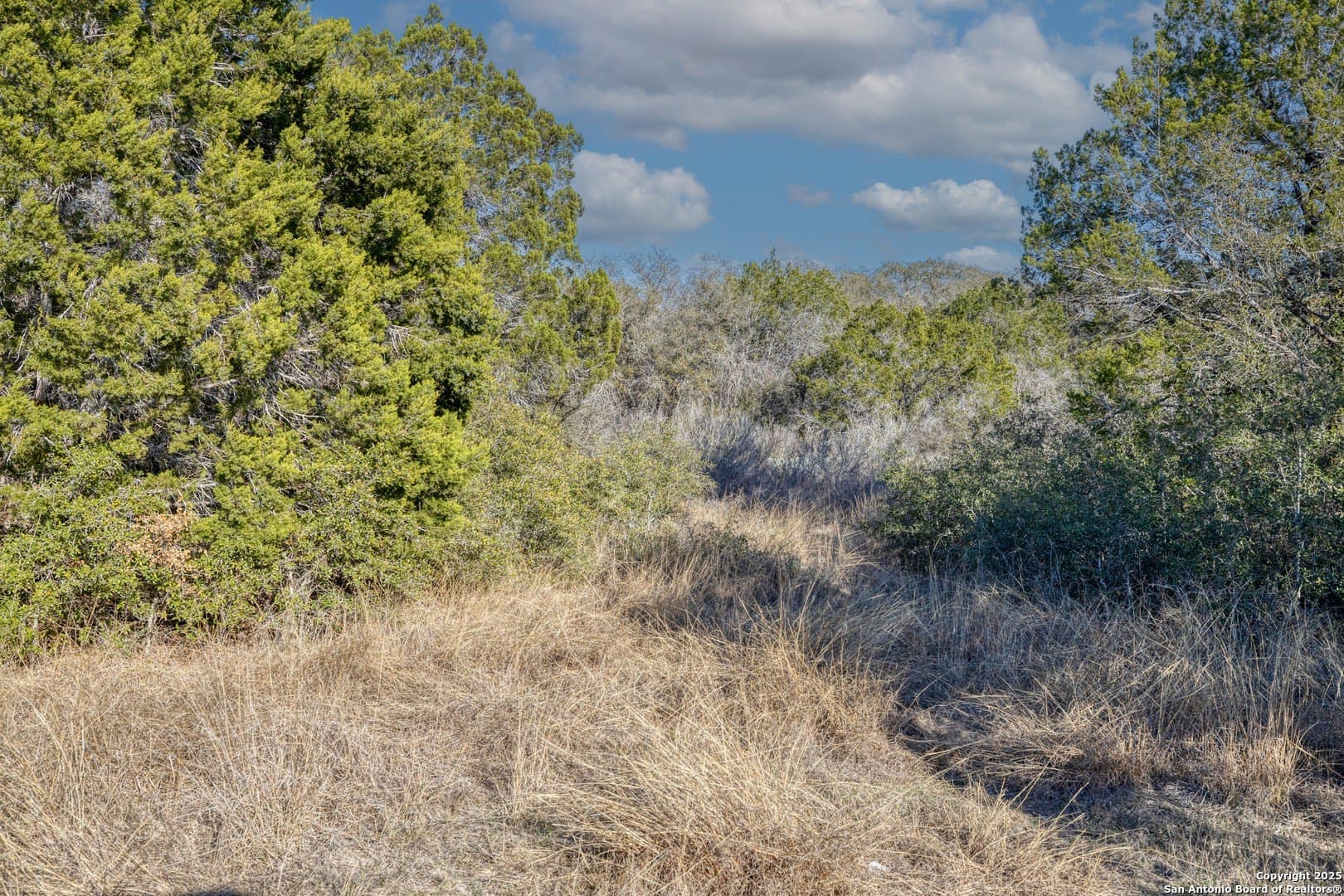 20.01 acres in Uvalde County - photo 8