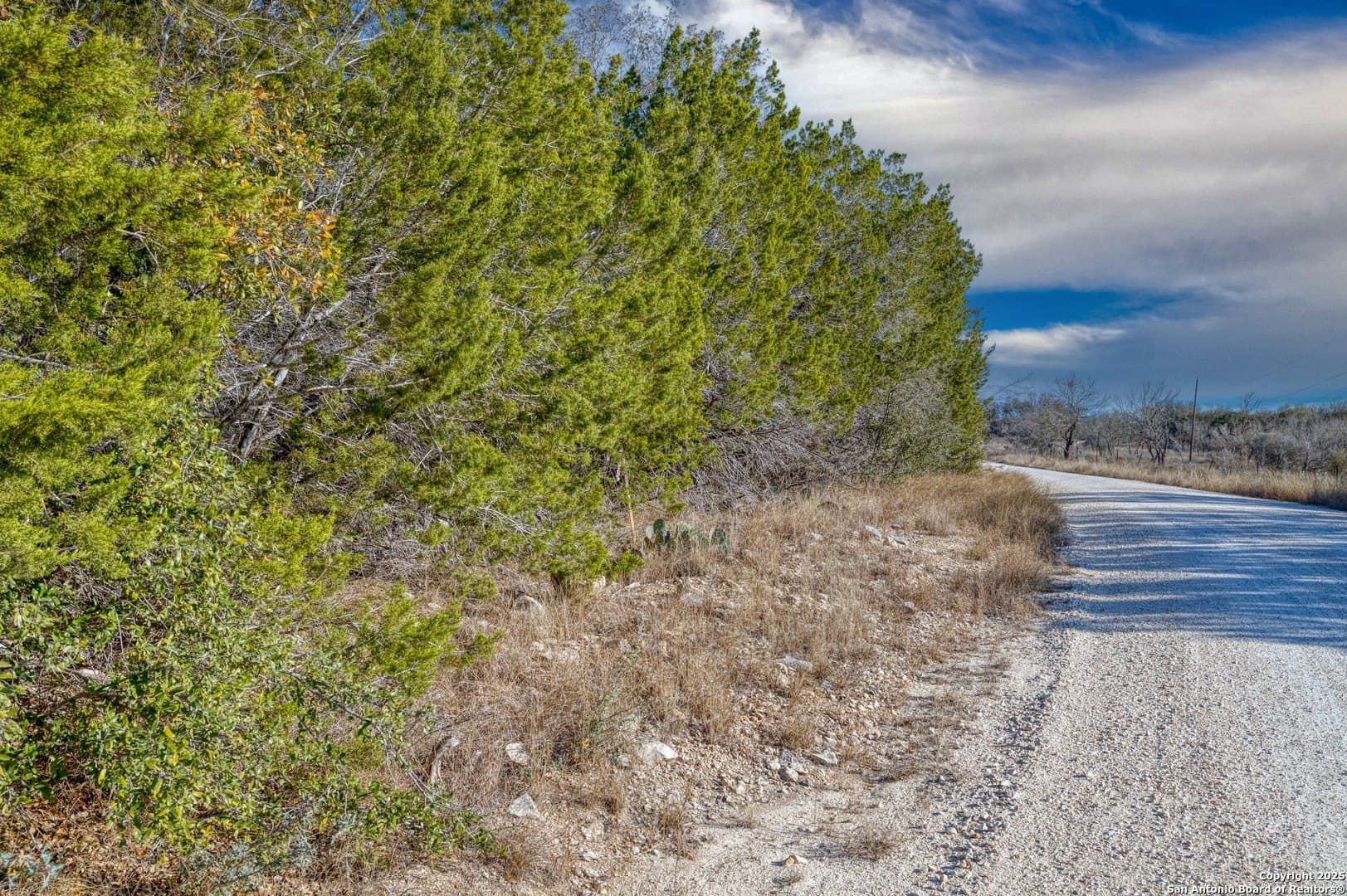 20.01 acres in Uvalde County - photo 4
