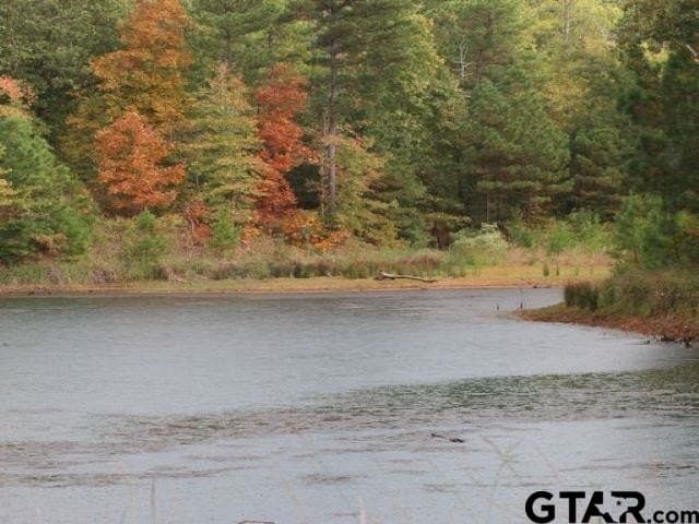 1.79 acres in Anderson County - photo 12