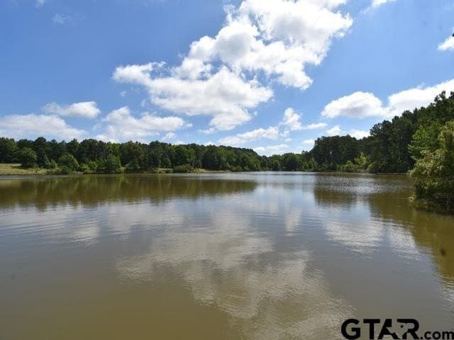 1.79 acres in Anderson County - photo 17