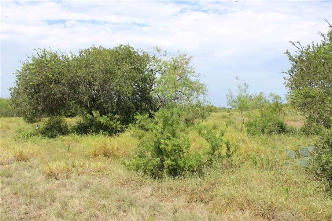 1.84 acres in Live Oak County - photo 4