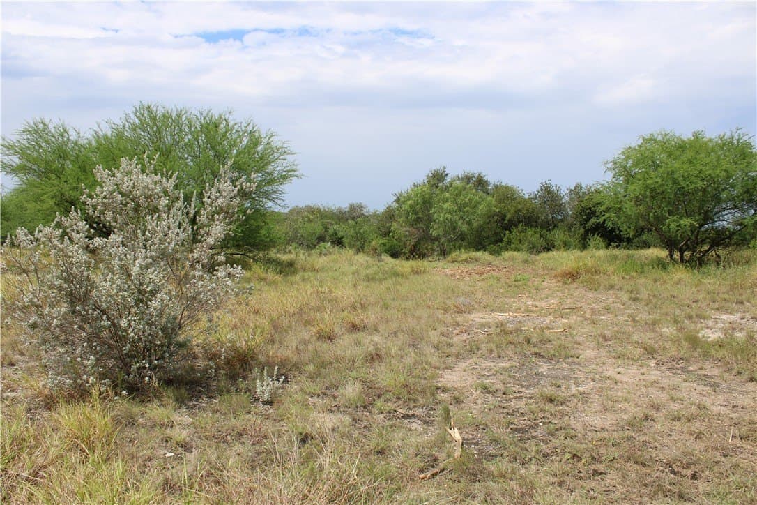 1.84 acres in Live Oak County - photo 3