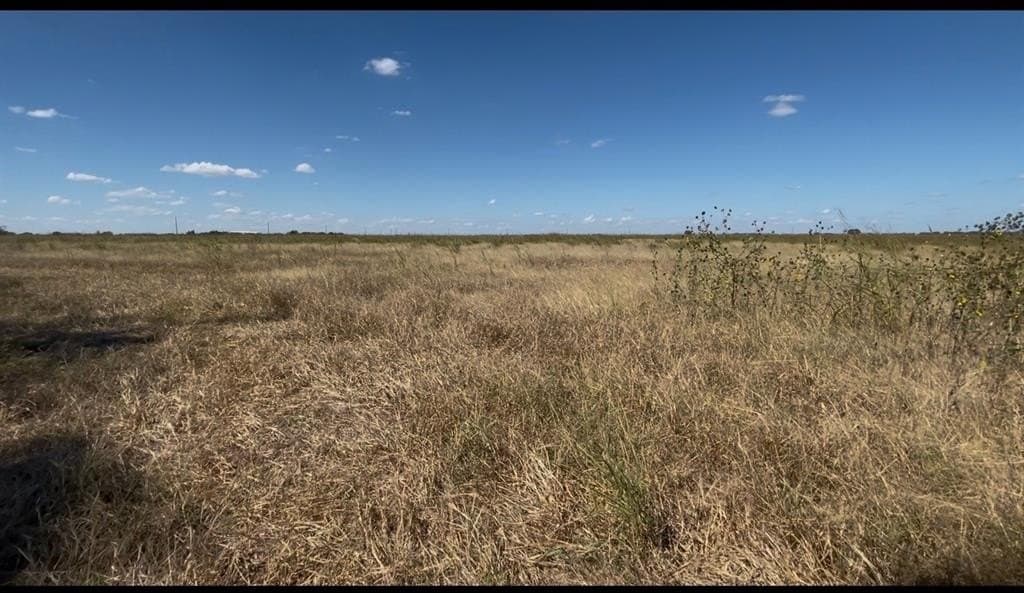 5.1 acres in Navarro County - photo 2