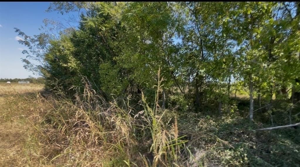 5.1 acres in Navarro County - photo 4