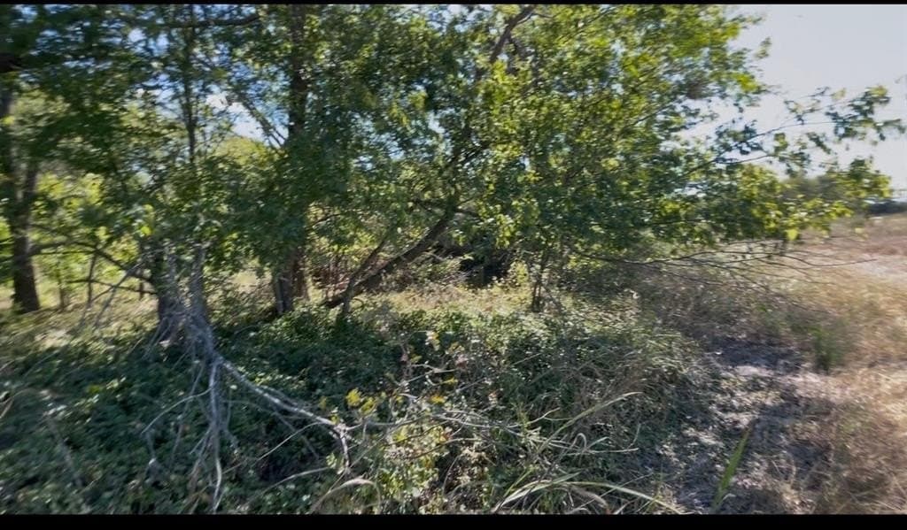 5.1 acres in Navarro County - photo 5