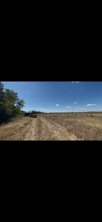 5.1 acres in Navarro County - photo 6
