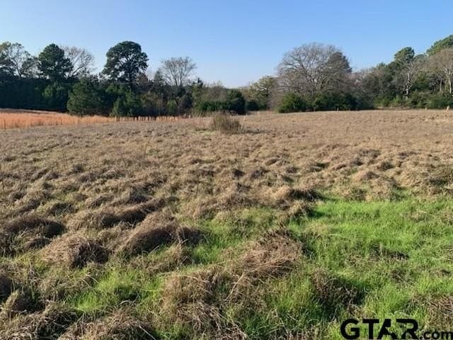 9.12 acres in Smith County - photo 15