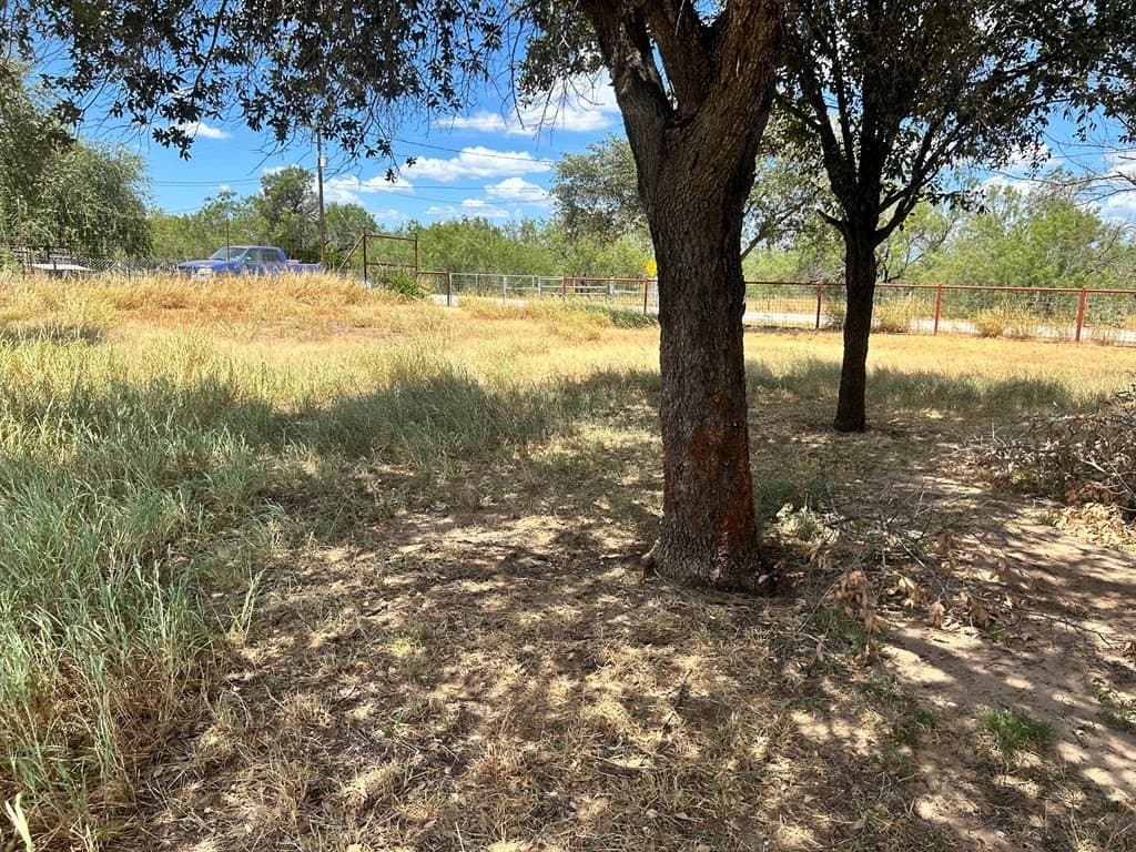 125,322 acres in Dimmit County - photo 27
