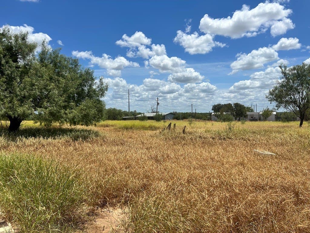 125,322 acres in Dimmit County - photo 32