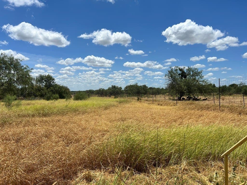 125,322 acres in Dimmit County - photo 38