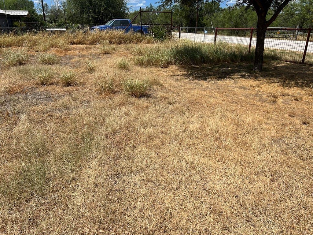 125,322 acres in Dimmit County - photo 15