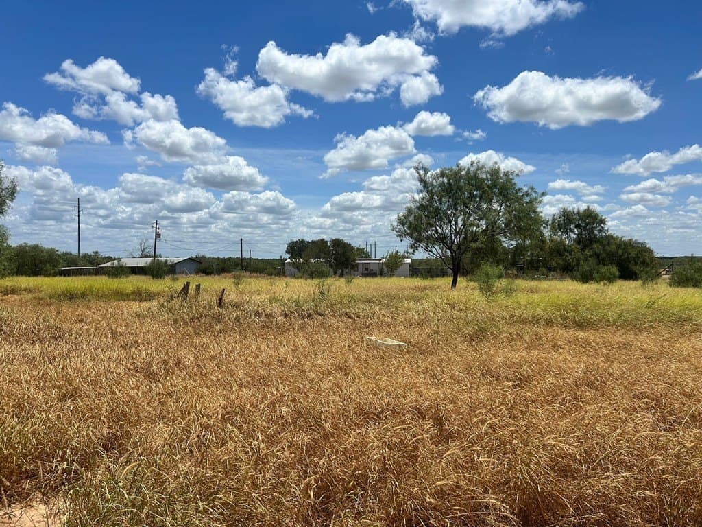 125,322 acres in Dimmit County - photo 17