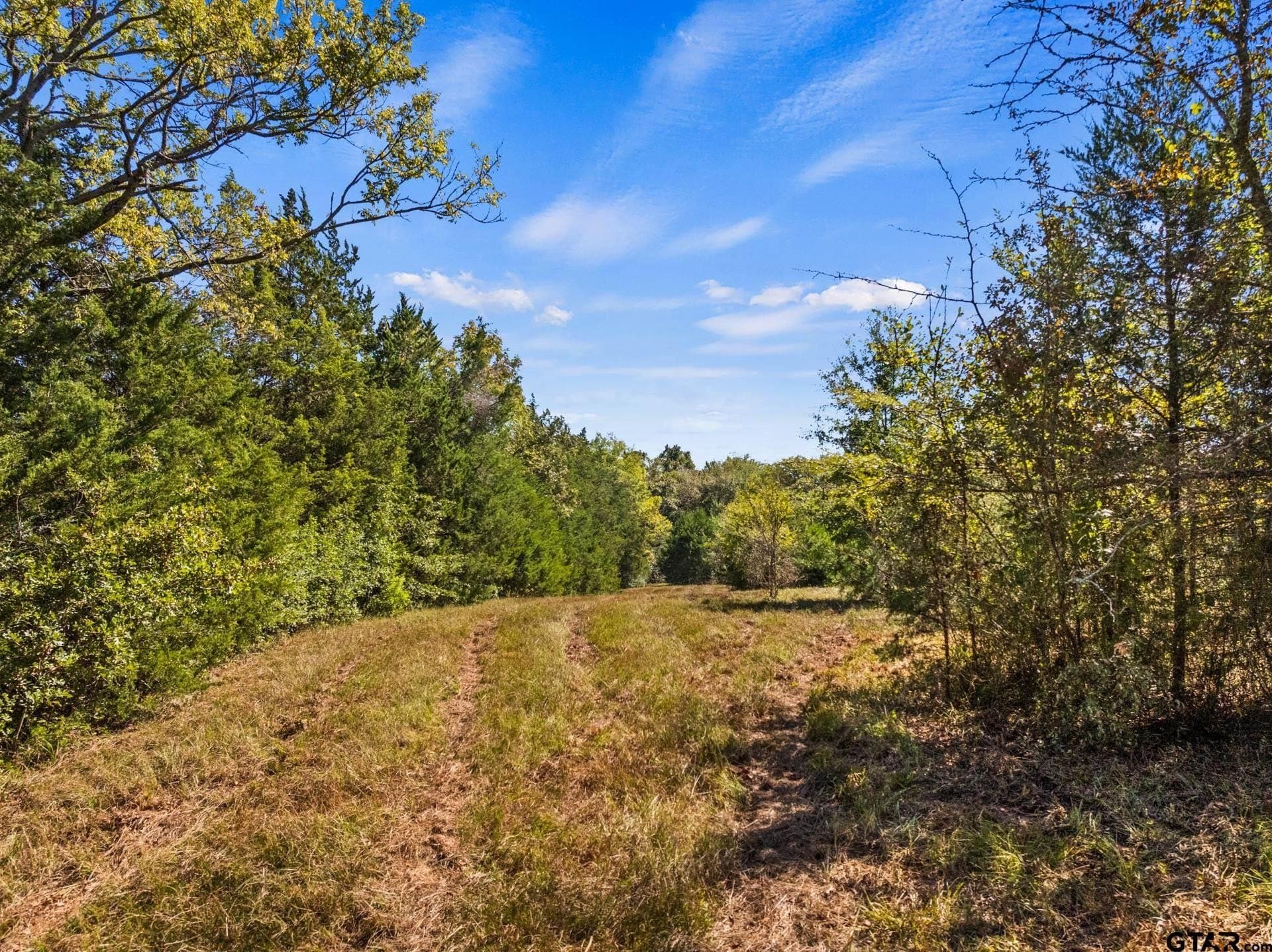 10.16 acres in Franklin County - photo 6