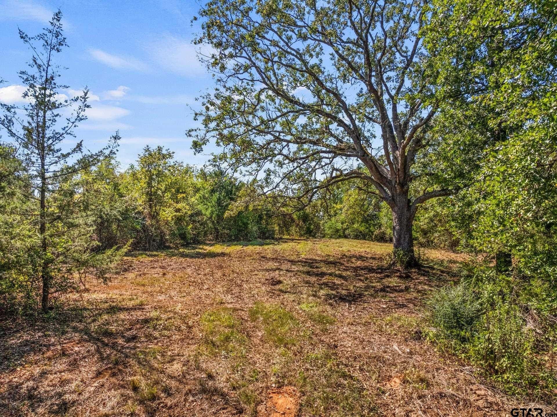 10.16 acres in Franklin County - photo 5