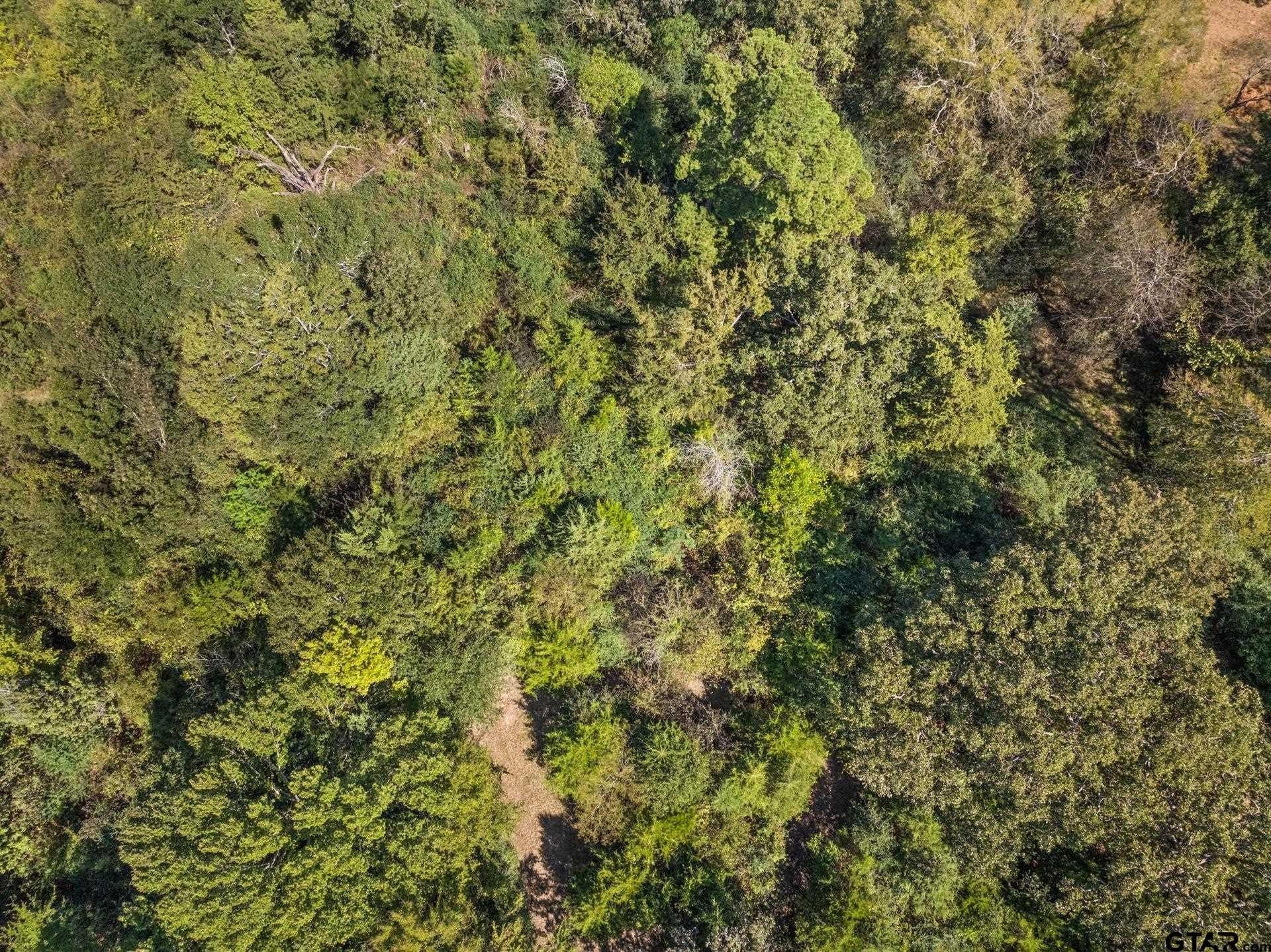 10.16 acres in Franklin County - photo 17