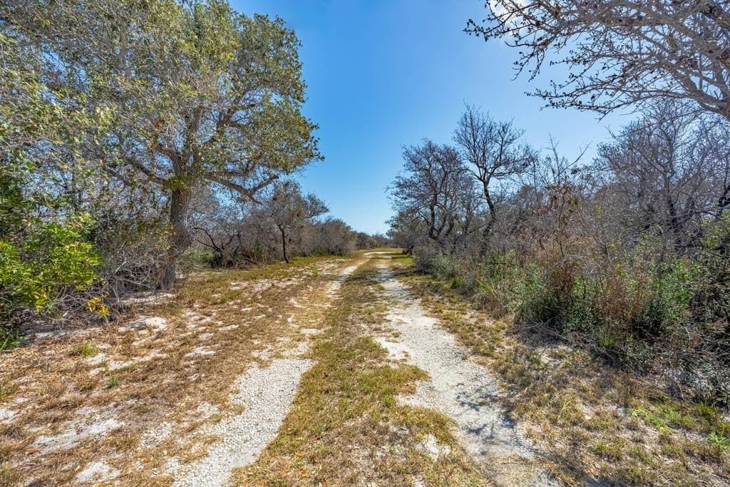 5.2 acres in Texas County - photo 22