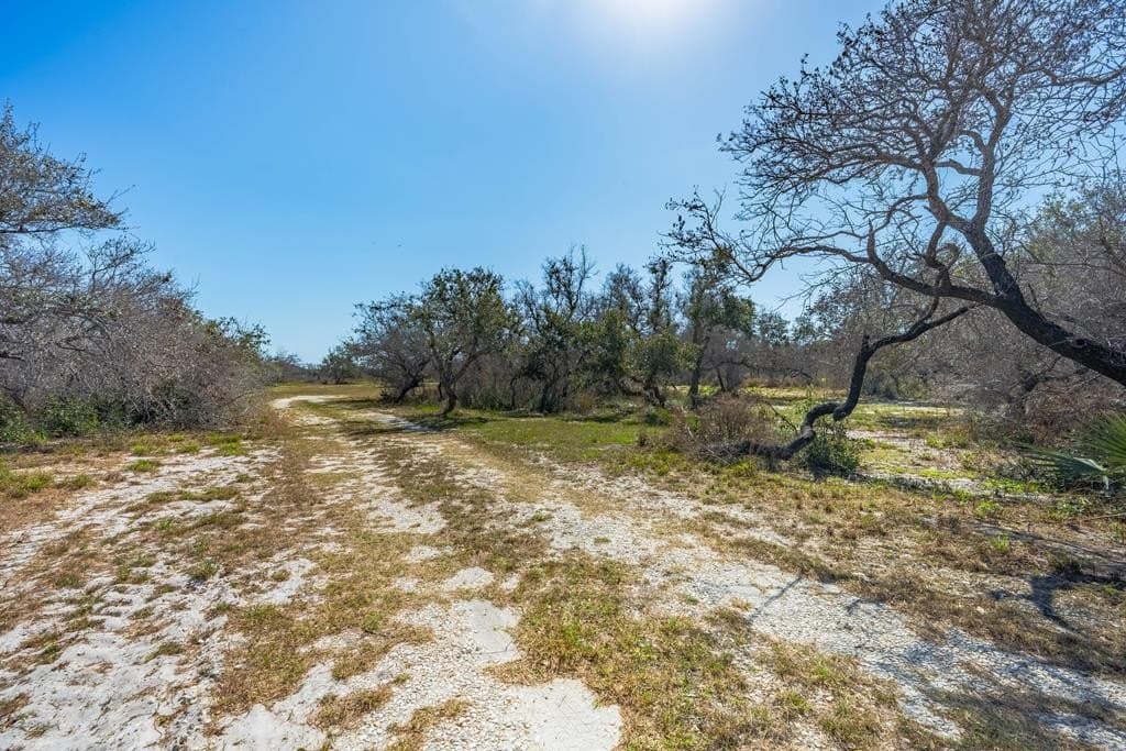 5.2 acres in Texas County - photo 23