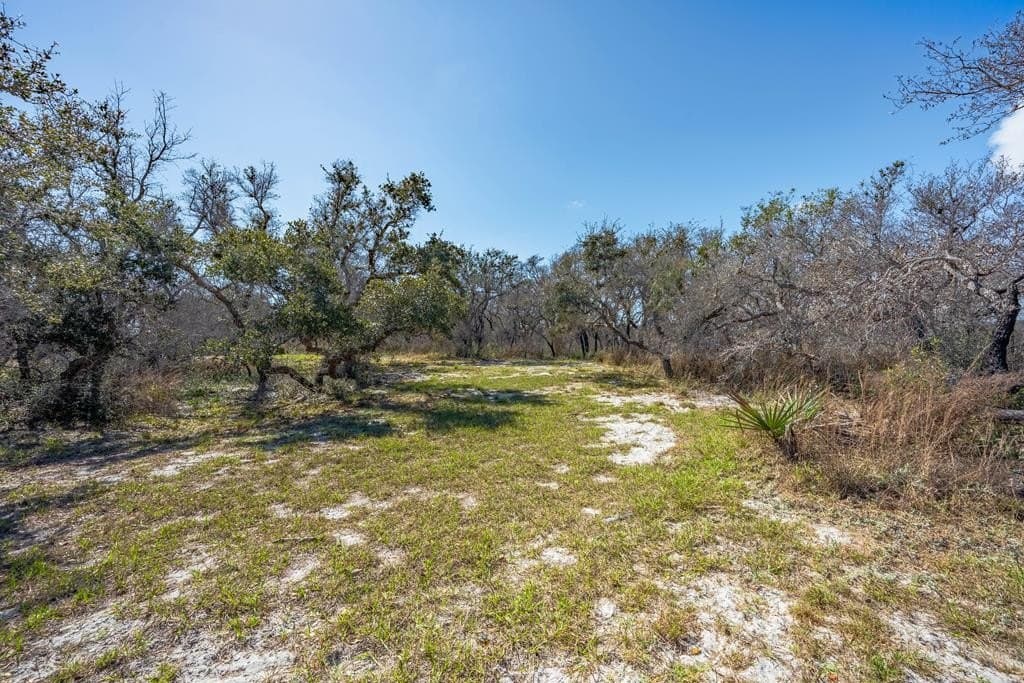 5.2 acres in Texas County - photo 24