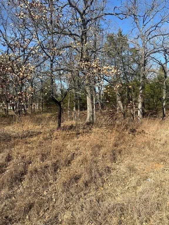 0.11 acres in Henderson County - photo 3