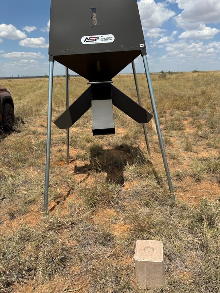 90 acres in Scurry County - photo 8