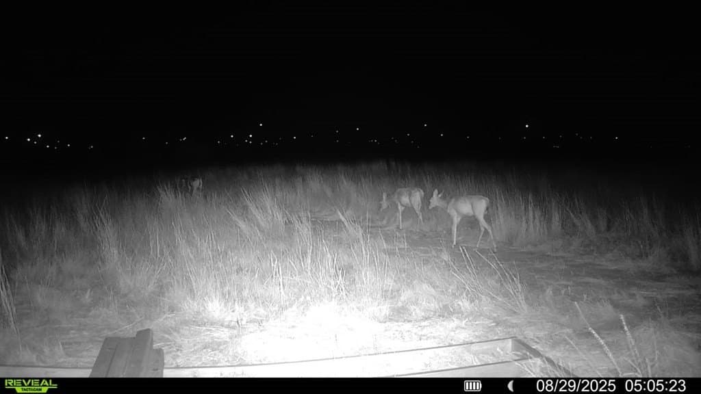 90 acres in Scurry County - photo 26
