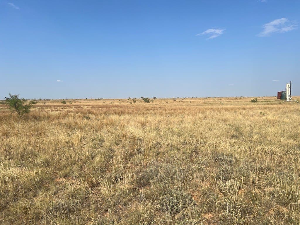 90 acres in Scurry County - photo 16