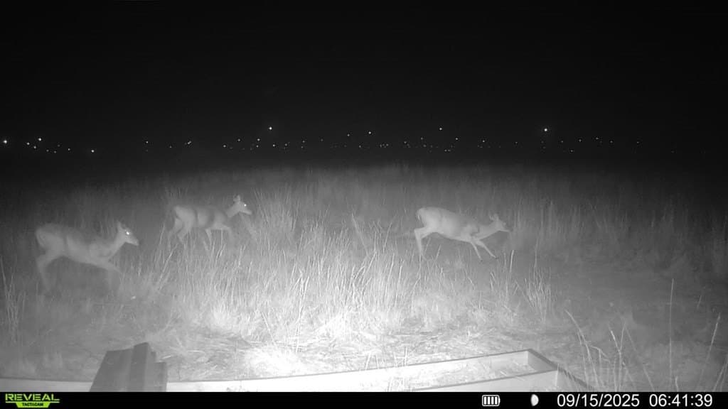 90 acres in Scurry County - photo 3