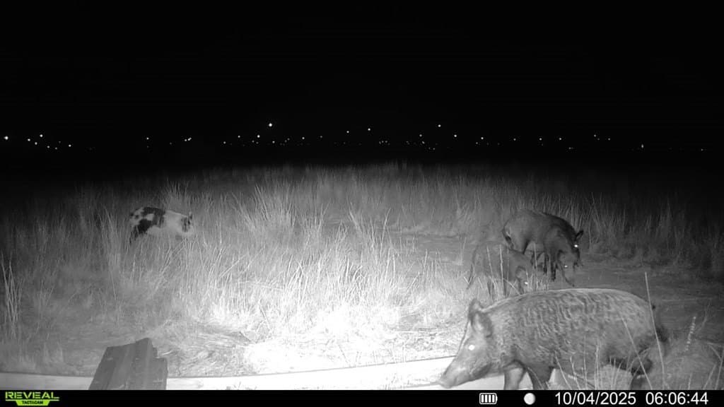 90 acres in Scurry County - photo 22