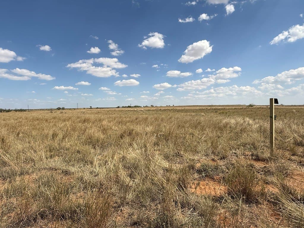 90 acres in Scurry County - photo 14